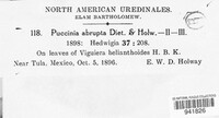 Puccinia abrupta image